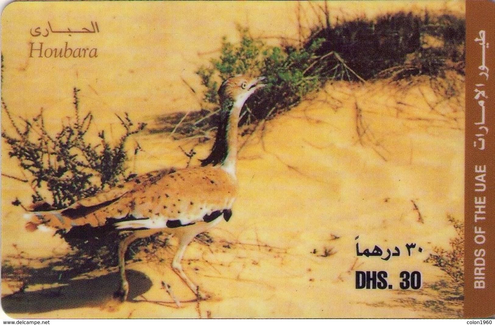 EMIRATOS ARABES UNIDOS. AE-ETI-PRE-0002B. FAUNA - AVE. Houbara. (100) - Emiratos Arábes Unidos