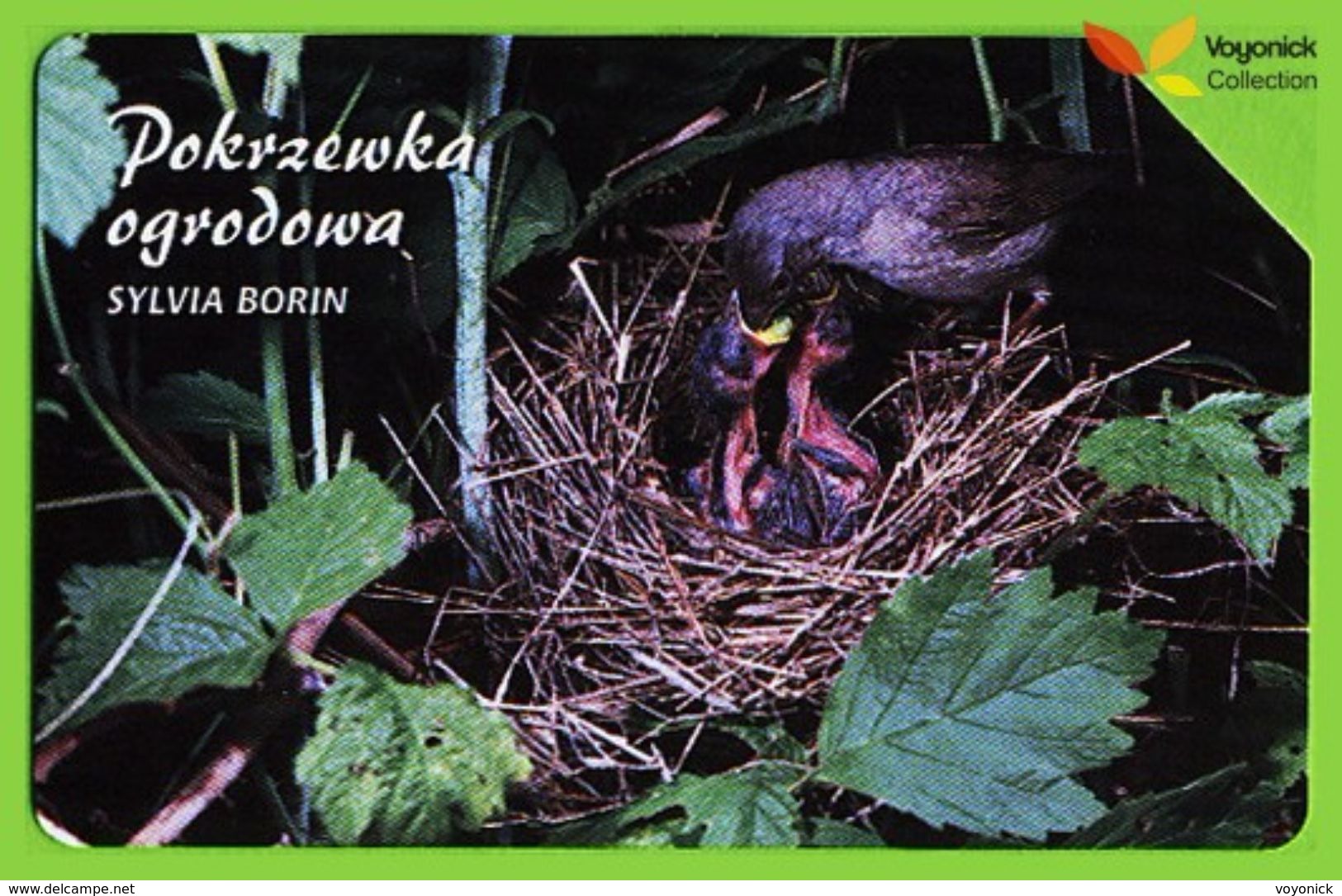Voyo POLAND Protected Animals GARDEN WARBLER Pokrzewka Ogrodowa - Sylvia Borin - Used Phone Card 2002 # 1345 - Polen