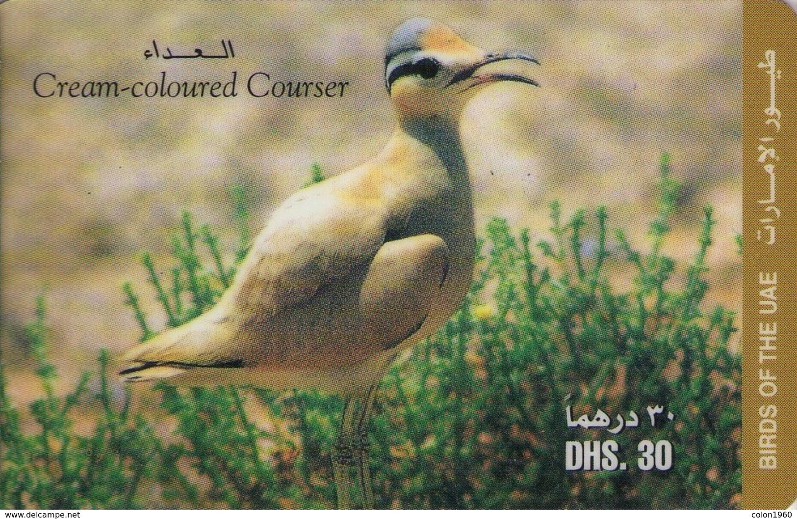 EMIRATOS ARABES UNIDOS. AE-ETI-PRE-0007A. FAUNA. AVE. CREAM-COLOURED COURSER. (103) - Verenigde Arabische Emiraten