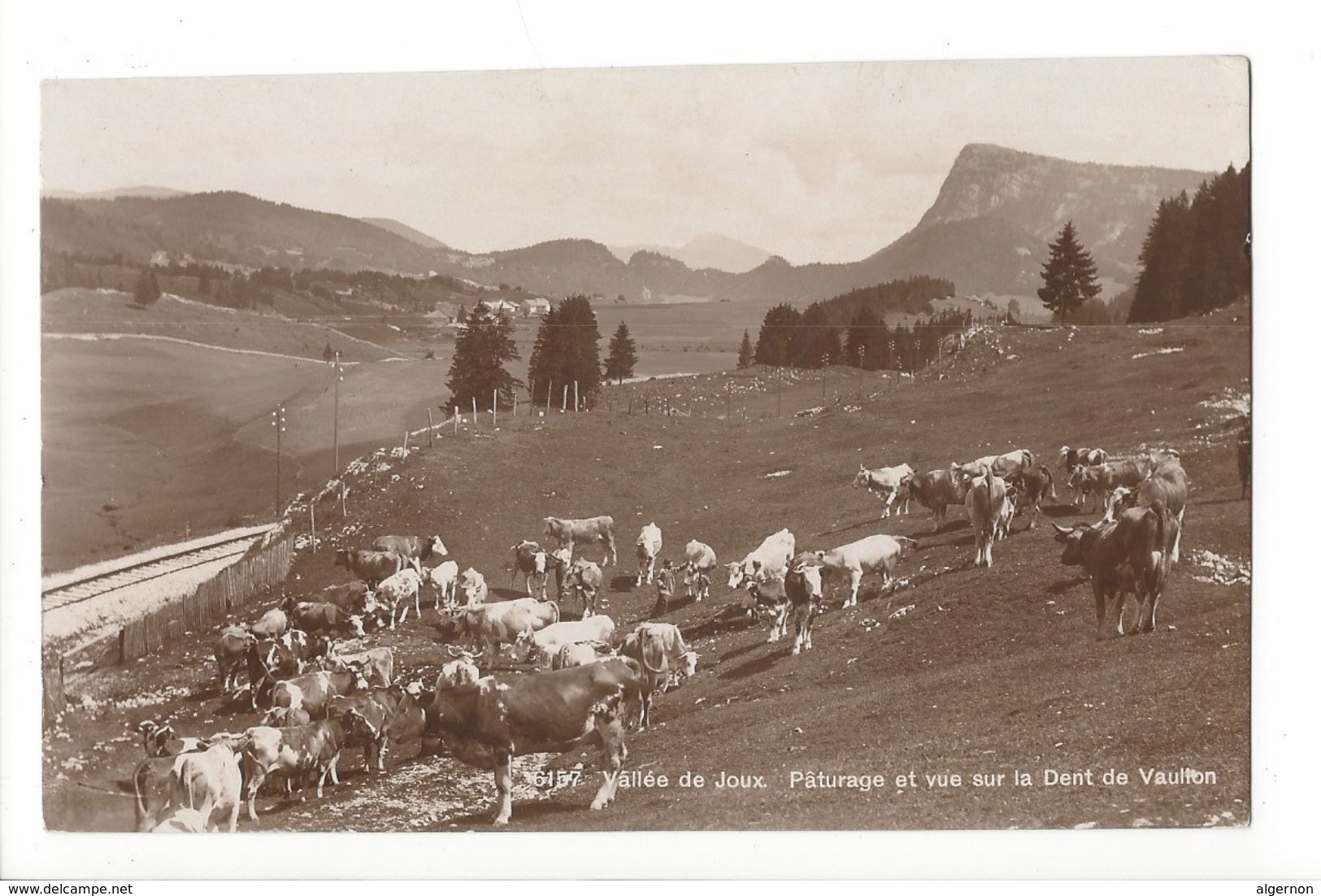19184 - Vallée De Joux Pâturage Et Vue Sur La Dent De Vaulion Vaches - Vaulion