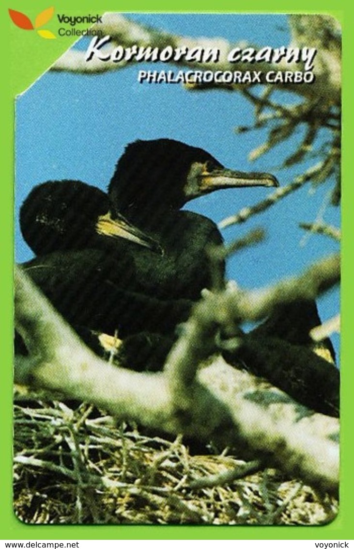 Voyo POLAND Protected Animals GREAT CORMORANT Kormoran Czarny - Phalacrocorax Carbo - Used Phone Card 2002 # 1341 - Poland