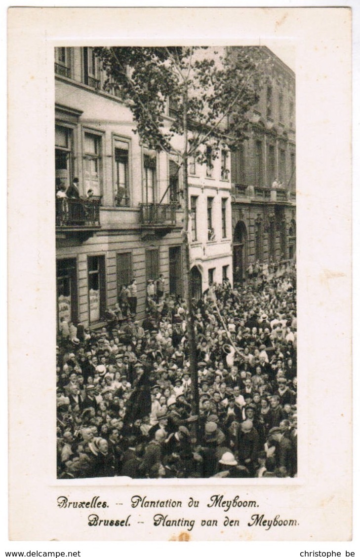 Brussel, Bruxelles, Planting Van Den Meyboom (pk41640) - Fêtes, événements