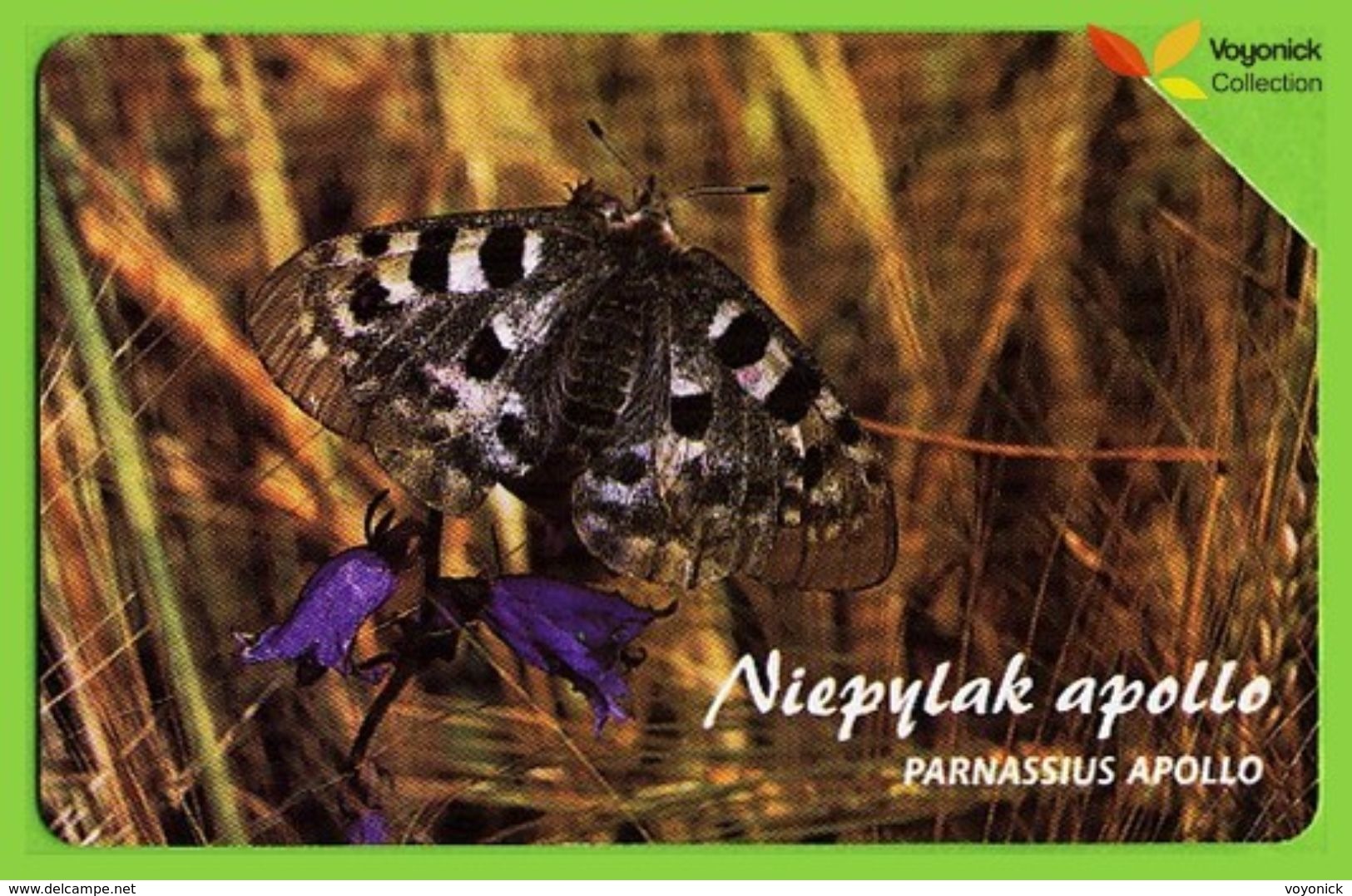 Voyo POLAND Protected Animals APOLLO BUTTERFLY Niepylak Apollo - Parnassius Apollo  - Used Phone Card 2002 # 1352 - Polen