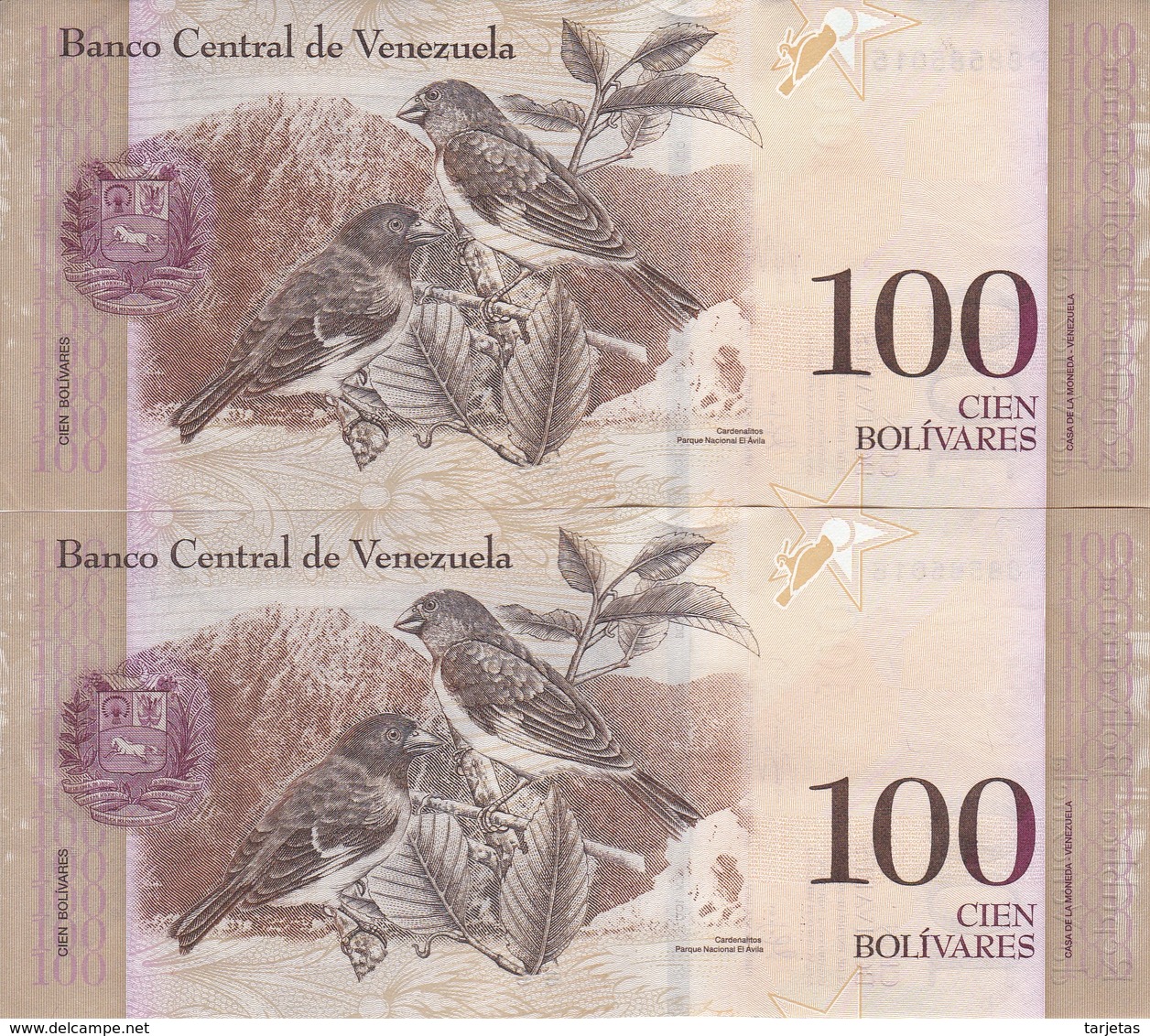 PAREJA CORRELATIVA DE VENEZUELA DE 100 BOLIVARES 31 DE ENERO DEL 2012 SIN CIRCULAR-UNCIRCULATED  (BANK NOTE) PAJARO - Venezuela