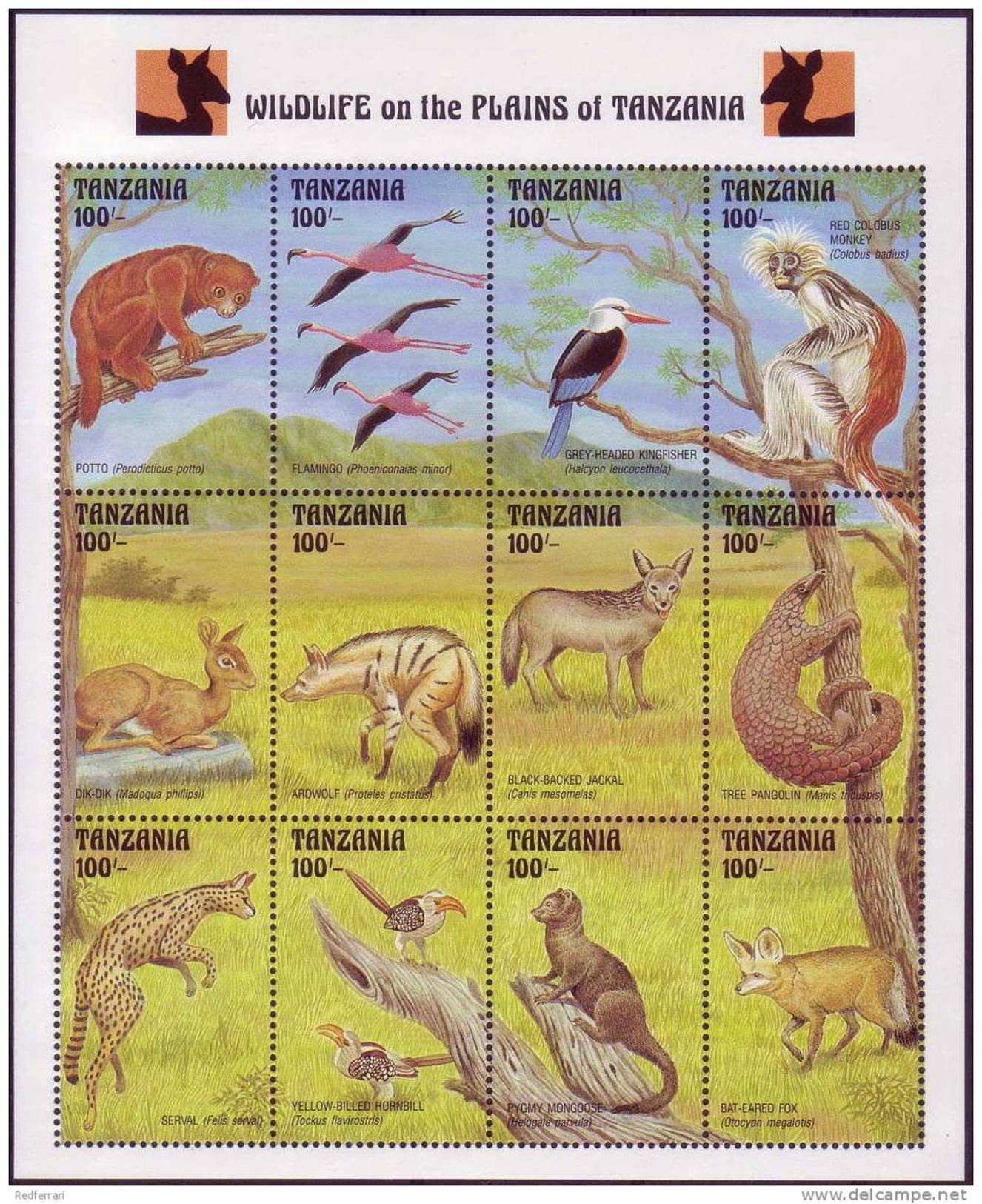 ( 1383 ) Tanzania - Fauna - Flamingo - Kingfisher - Palgolin - Jackal - Serval - Hornbill -Fox . - Other & Unclassified