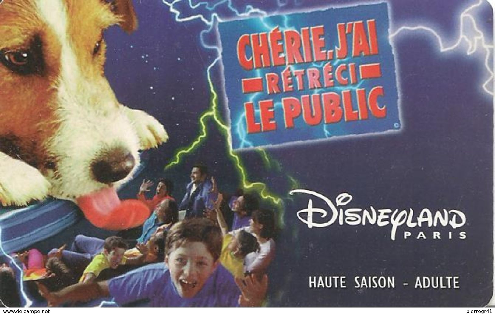 PASS--DISNEY-1999-DISNEYLAND-PARIS-CHERIE J AI RETRECI-V°SPEOS-99/02/HOA -VALIDE 1 JOUR LE 200799-TBE - Passeports Disney