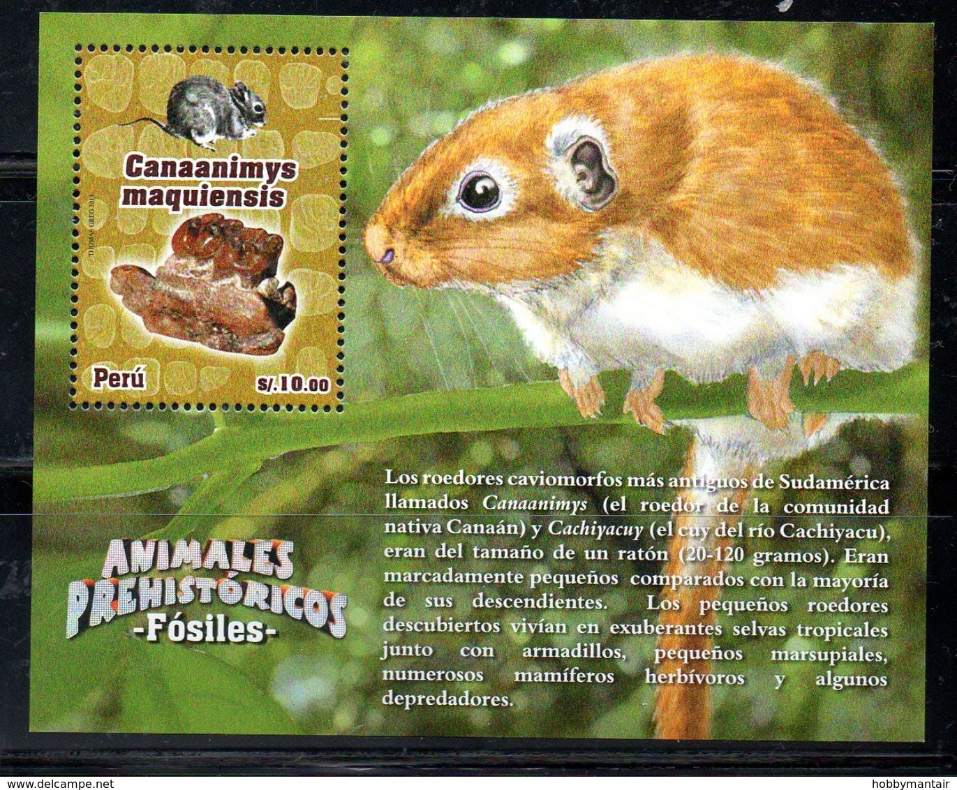 PERU,2013, PREHISTORIC RODENT, 1v. MNH** - Préhistoriques