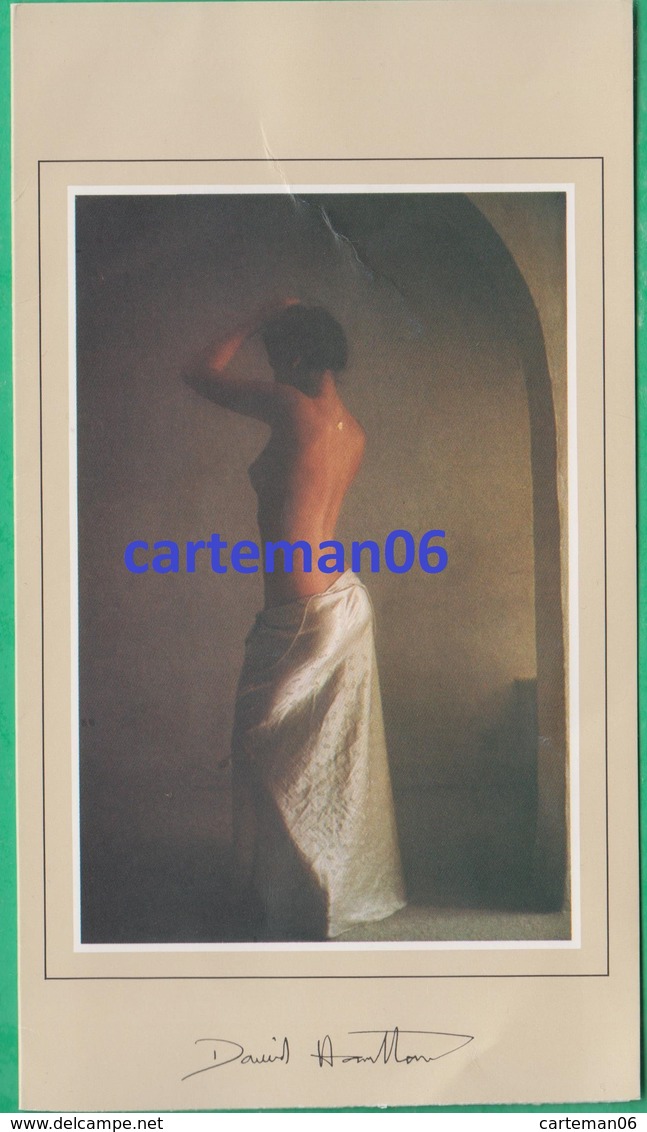 David Hamilton - Carte Porfeuille - Format: 19 X 10.6 Cm - Hamilton