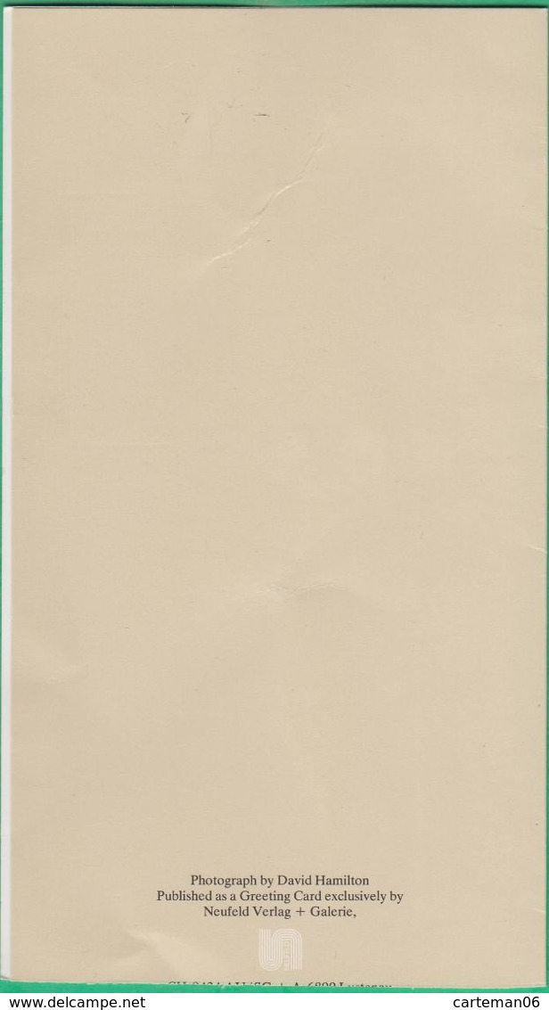 David Hamilton - Carte Porfeuille - Format: 19 X 10.6 Cm - Hamilton