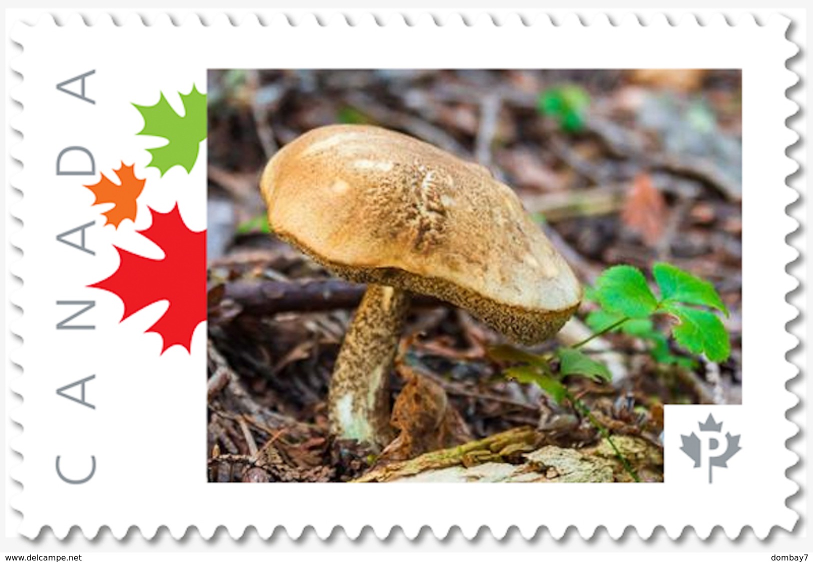 NEW!  MUSHROOM  - Unique Picture Postage Stamp MNH Canada 2018 P18-01sn09 - Mushrooms
