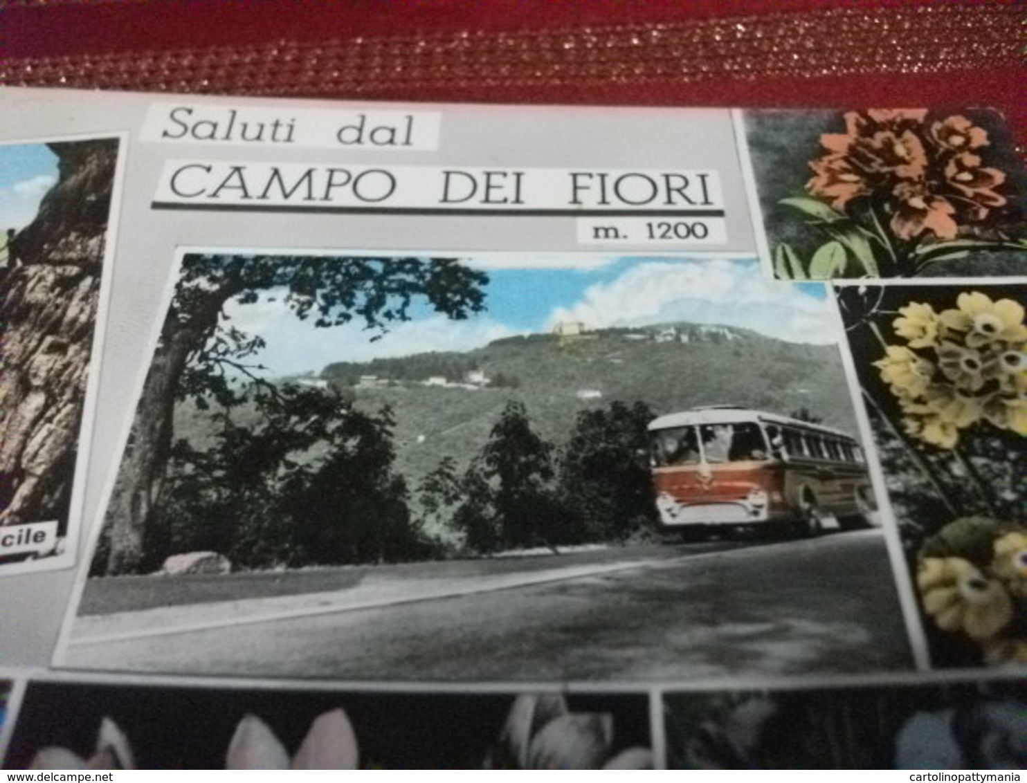 CORRIERA PULLMAN FIORI UN PASSO DIFFICILE SALUTI DAL CAMPO DEI FIORI VEDUTE FRAZIONE VARESE - Autobus & Pullman