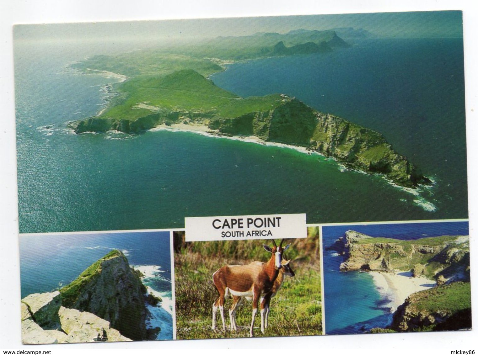 Afrique Du Sud--CAPE TOWN -- Vue Aérienne Cape Point (Nature Reserve)--cachet  + Timbre Oiseau - Südafrika