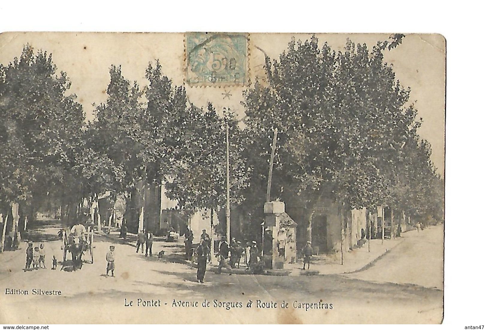 CPA  / 84 / VAUCLUSE / LE PONTET / Avenue De Sorgues Et Route De Carpentras En 1906 - Le Pontet