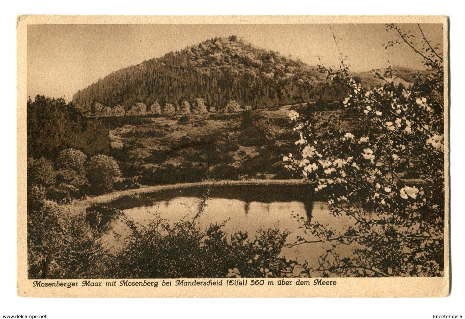 CPA - Carte Postale  - Allemagne - Montagne De Mosenberg - 1929 (CP189) - Pegnitz
