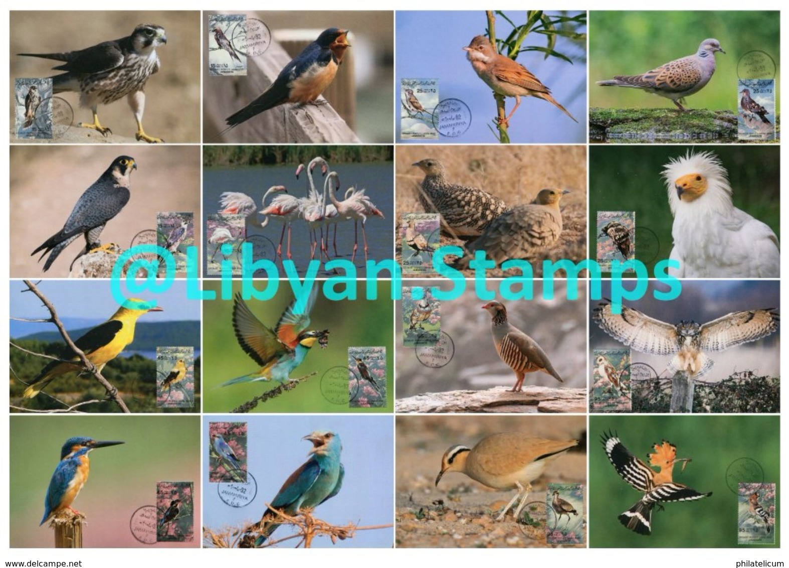 LIBYA - 1982 Birds (16 Maximum-cards) - Other & Unclassified