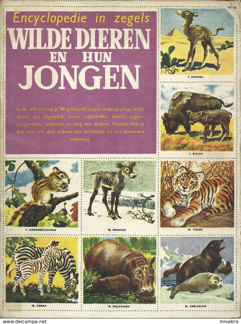 ENCYCLOPEDIE IN ZEGELS N° 20 WILDE DIEREN EN HUN JONGEN ( NIJLPAARD OLIFANT ZEBRA BIZON GIRAF VOS TIJGER LEEUW ...) 1958 - Encyclopédies