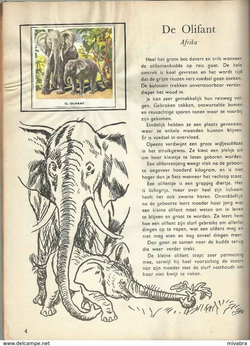 ENCYCLOPEDIE IN ZEGELS N° 20 WILDE DIEREN EN HUN JONGEN ( NIJLPAARD OLIFANT ZEBRA BIZON GIRAF VOS TIJGER LEEUW ...) 1958 - Encyclopedia