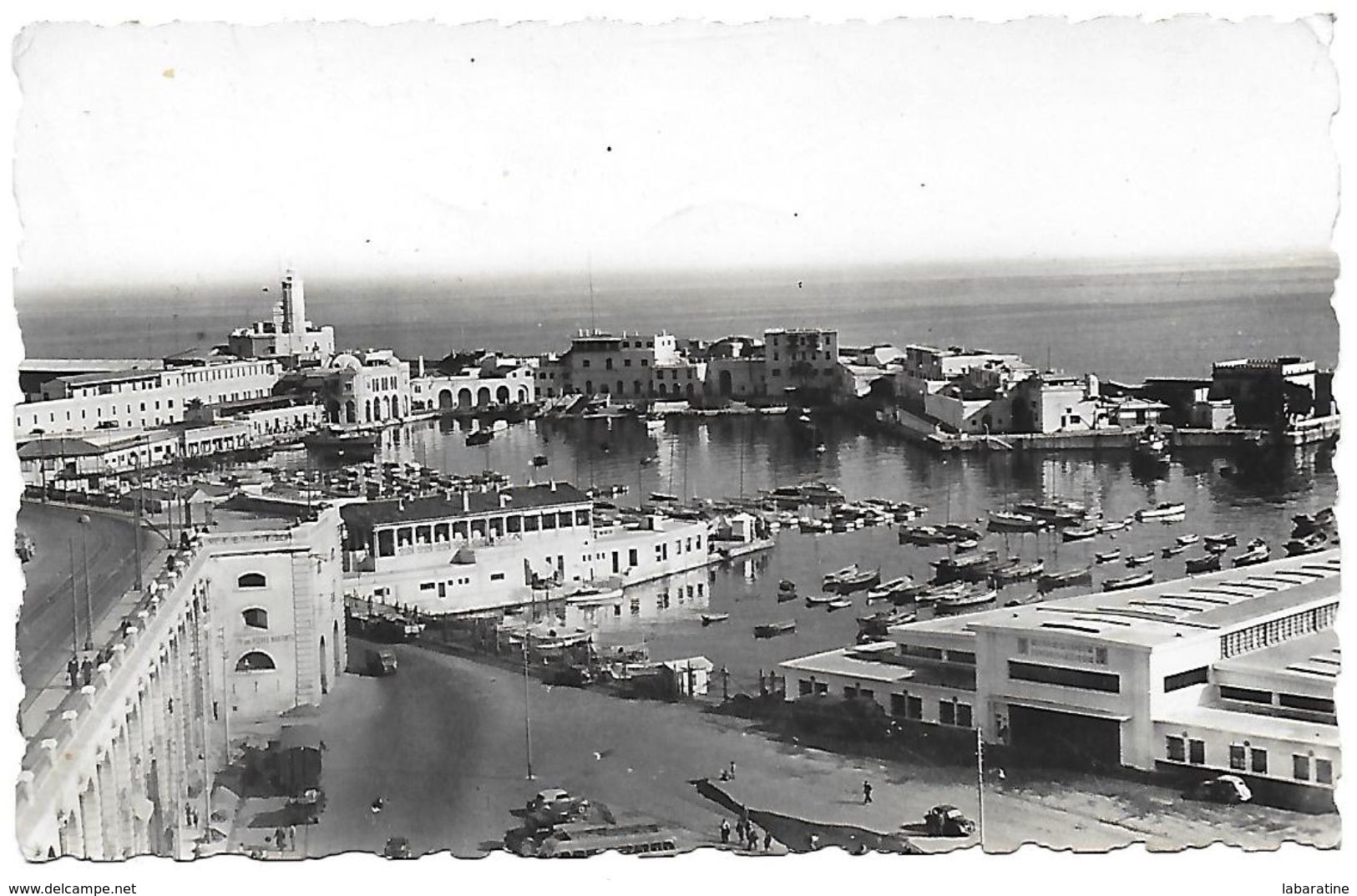 Algérie )  ALGER  - L' Amirauté - Alger