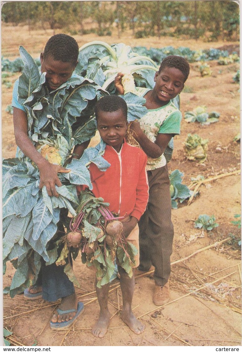 AFRIQUE,BURKINA FASO,province Du Sanguié GOUNDI,centre Agricole FSF,enfant Au Boulot,la Joie Des Récoltes,rare - Burkina Faso