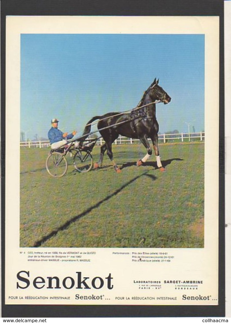 Publicité Laboratoires Pharmaceutique Fiches Hippisme Cheval :  Wedioland,Ozo, Et Départ De Chantilly Au Château 1958 - Sports