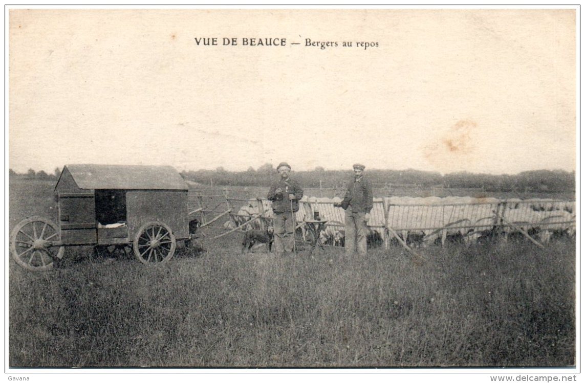 28 VUE DE BEAUCE - Bergers Au Repos - Autres & Non Classés