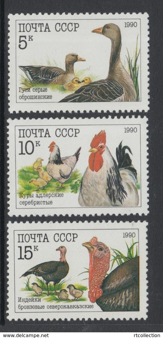 USSR Russia 1990 Poultry Farm Geese Adlers Caucasian Ducks Birds Animals Fauna Nature Stamps MNH Sc 5909-11 Mi 6102-04 - Farm