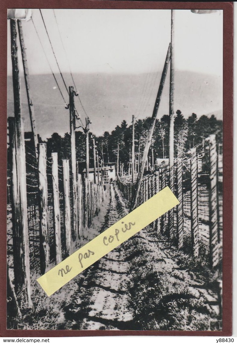 PHOTO - LE STRUTHOF. 67 - Les Barbelés Autour Du Camp De Concentration Allemand - Retirage En 15/10 Cm - Prison