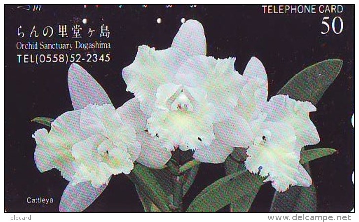 Télécarte  Japan Fleur ORCHID (3690)  Orchidée Orquídea Orchidee Flower - Fleurs