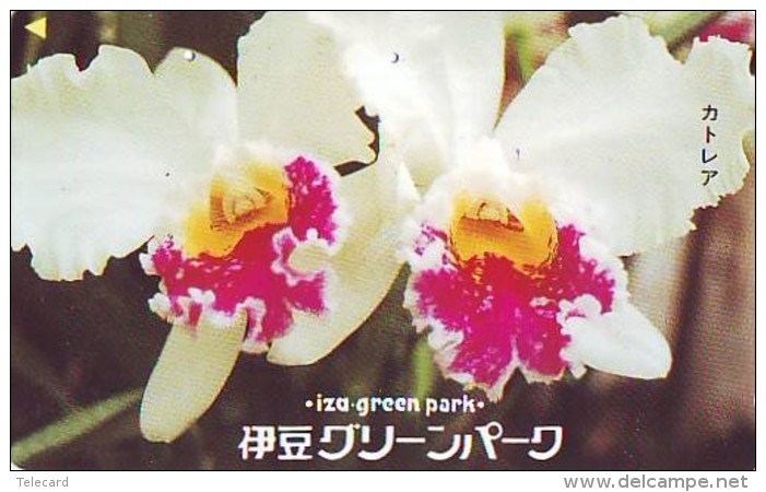 Télécarte  Japan Fleur ORCHID (3691)  Orchidée Orquídea Orchidee Flower - Fleurs