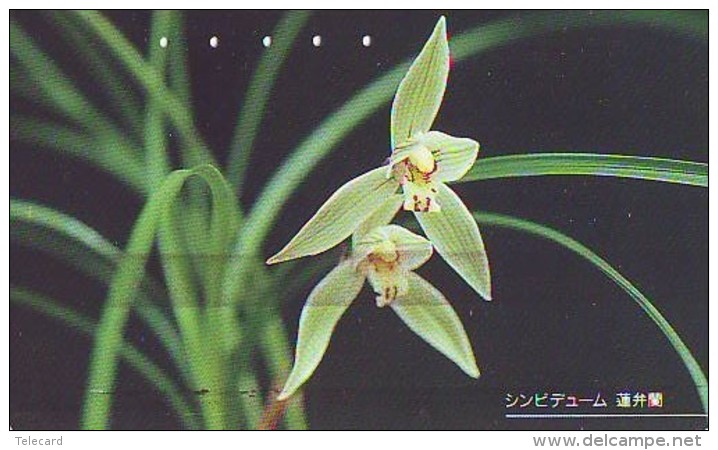 Télécarte  Japan Fleur ORCHID (3697)  Orchidée Orquídea Orchidee Flower - Fleurs