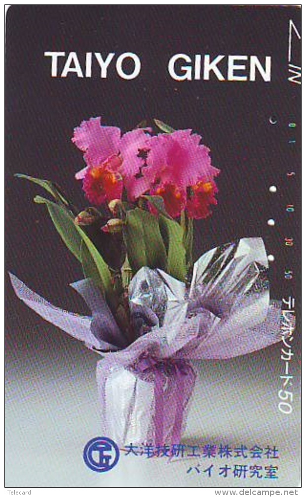 Télécarte  Japan Fleur ORCHID (3700)  Orchidée Orquídea Orchidee Flower   290-26854 - Fleurs