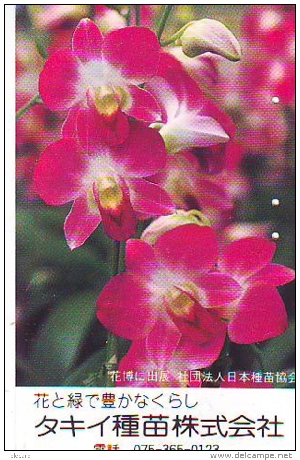 Télécarte  Japan Fleur ORCHID (3703)  Orchidée Orquídea Orchidee Flower - Fleurs