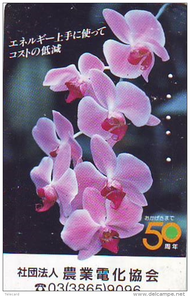 Télécarte  Japan Fleur ORCHID (3707)  Orchidée Orquídea Orchidee Flower - Fleurs