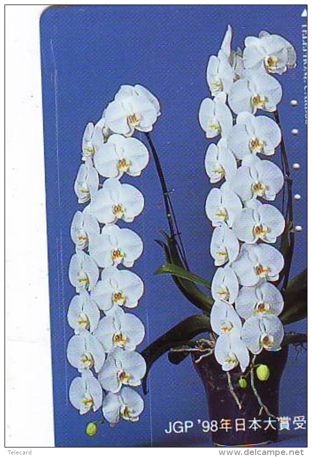 Télécarte  Japan Fleur ORCHID (3708)  Orchidée Orquídea Orchidee Flower - Fleurs