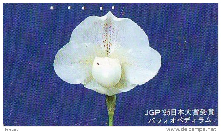 Télécarte  Japan Fleur ORCHID (3716)  Orchidée Orquídea Orchidee Flower - Fleurs