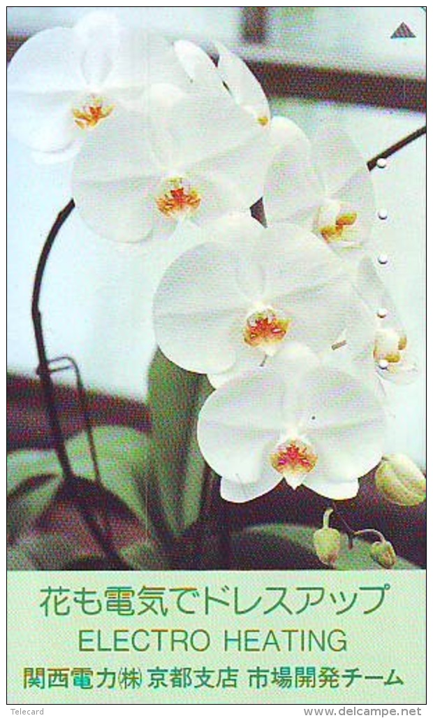 Télécarte  Japan Fleur ORCHID (3718)  Orchidée Orquídea Orchidee Flower - Fleurs