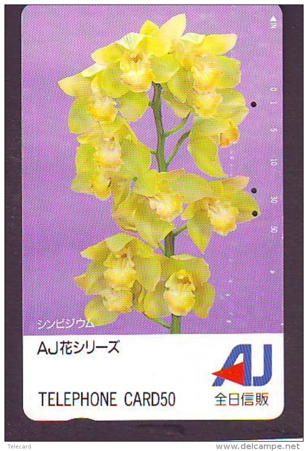 Télécarte  Japan Fleur ORCHID (3719)  Orchidée Orquídea Orchidee Flower - Fleurs