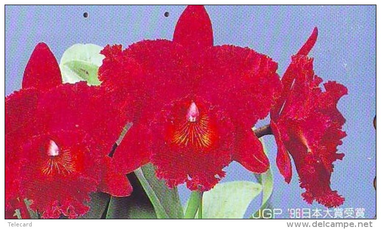 Télécarte  Japan Fleur ORCHID (3724)  Orchidée Orquídea Orchidee Flower - Fleurs