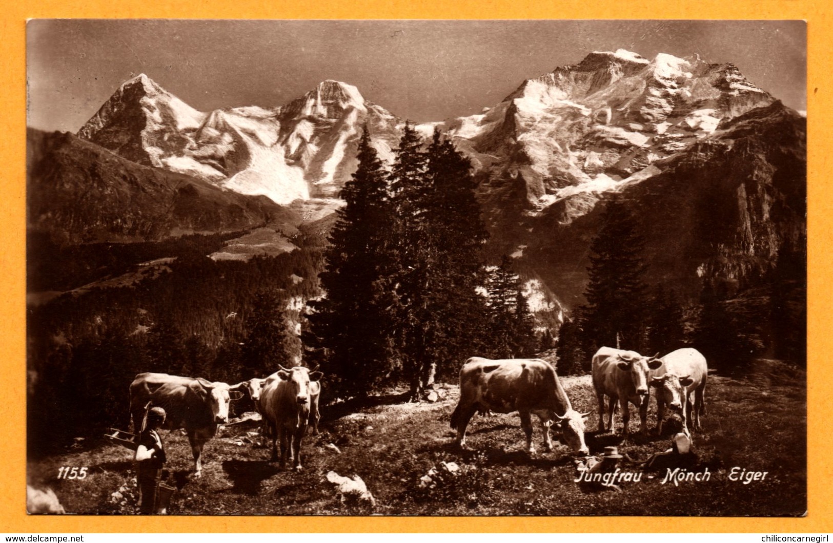 Jungfrau - Mönch - Eiger - Montagne - Vache - Animée - SCHILD BICHSEL BRIENZ - 1921 - Brienz