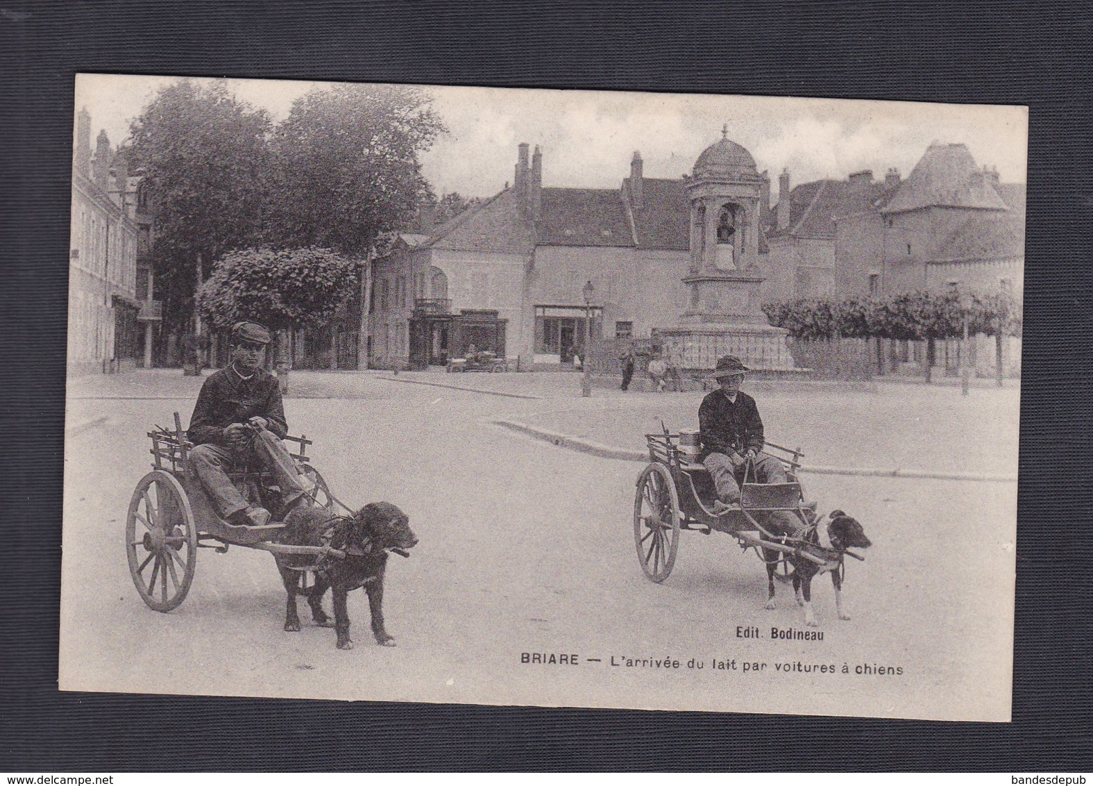 Vente Immediate Briare L' Arrivee Du Lait Par Voitures à Chiens ( Laitier Voiture Chien Attelé Ed. Bodineau) - Briare