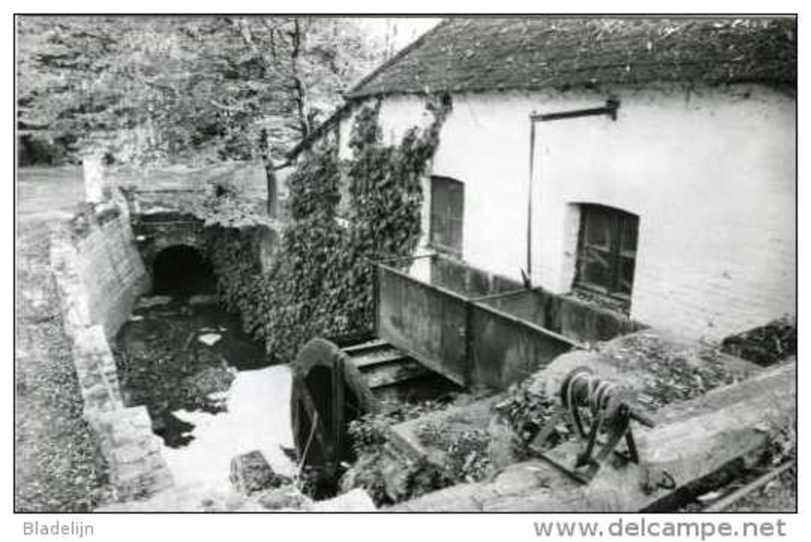 WEMMEL, Grens Meise (Vlaams-Brabant) - (water-) Molen/moulin à Eau: De Amelgemmolen In 1979. Zicht Op Het Bovenslagrad. - Wemmel