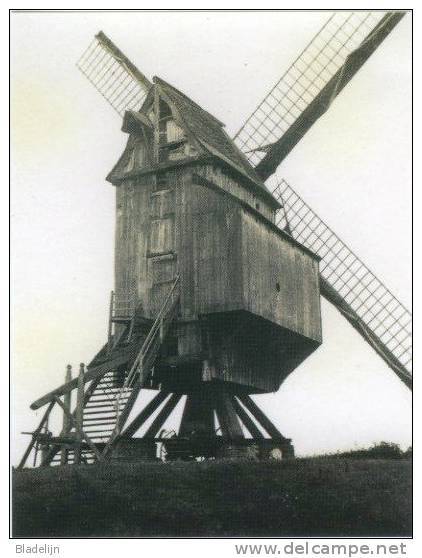 MUNTE Bij Merelbeke (O.Vl.) - Molen/moulin - Fraaie Opname Van De Verdwenen Standaardmolen D'Hollander - Merelbeke