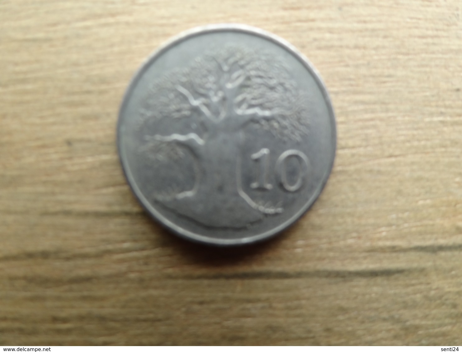 Zimbabwe  10  Cents  1980  Km 3 - Zimbabwe