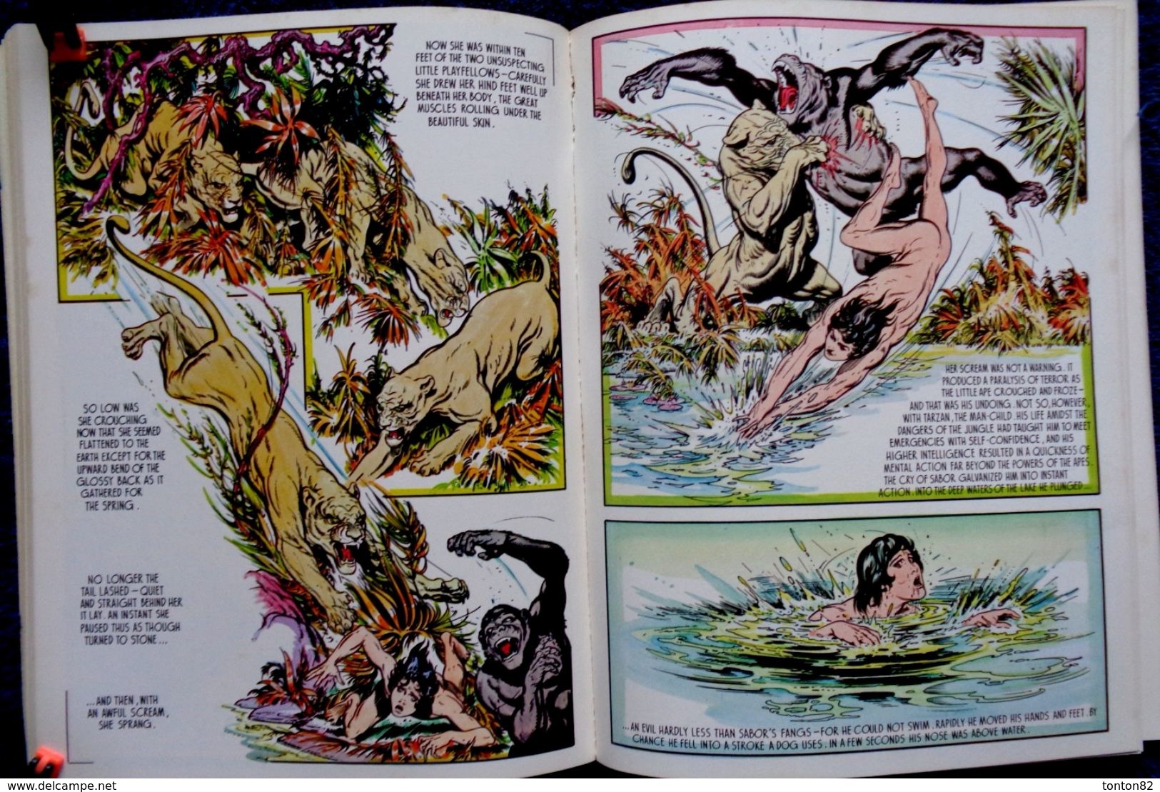 Edgar Rice Burroughs - TARZAN OF THE APES - Pan Books Limited - ( 1974 ) .( Texte Anglais ) . - British Comic Books