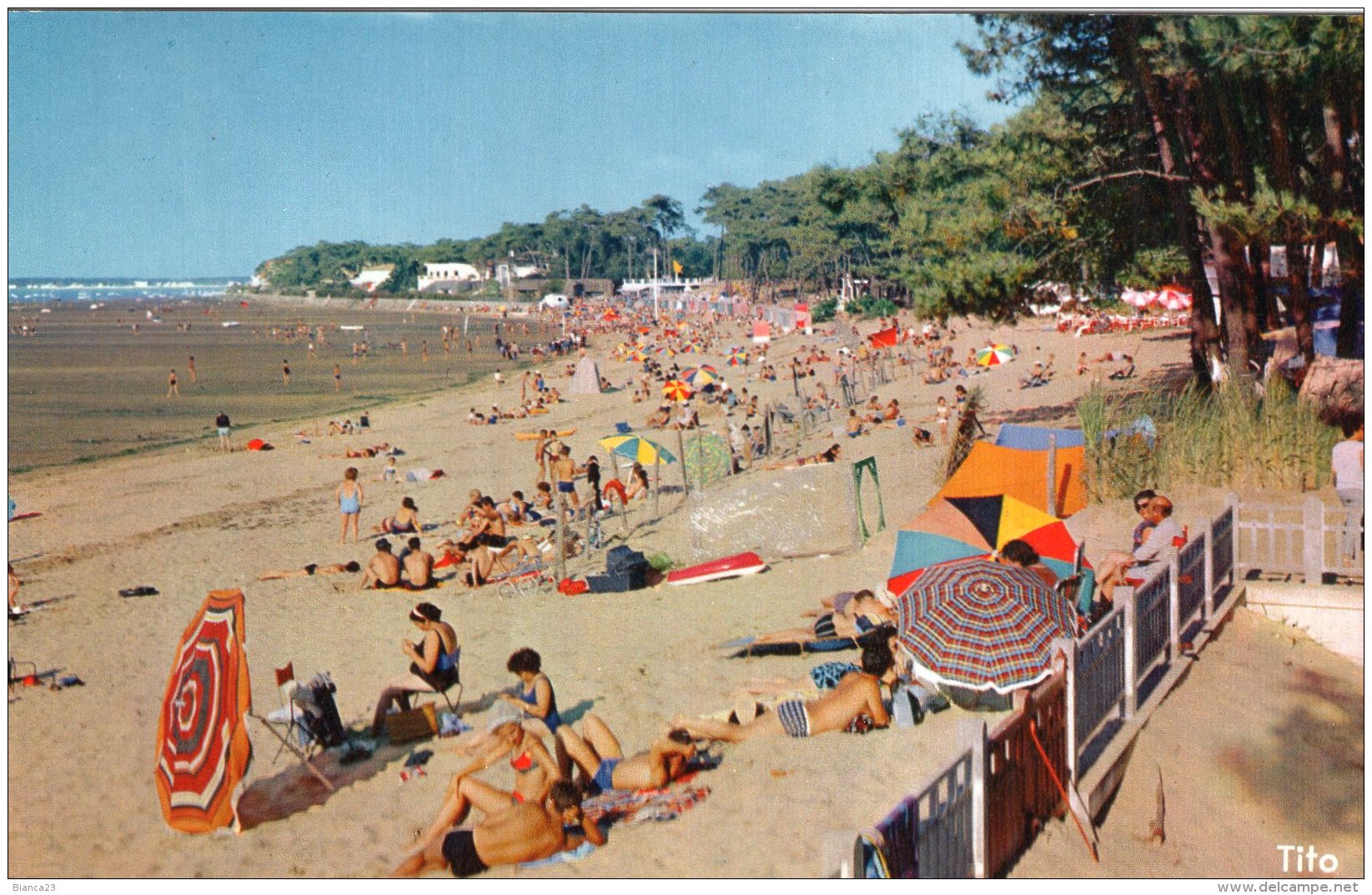 B47606 Ronce Les Bains, Vue Générale - Altri & Non Classificati