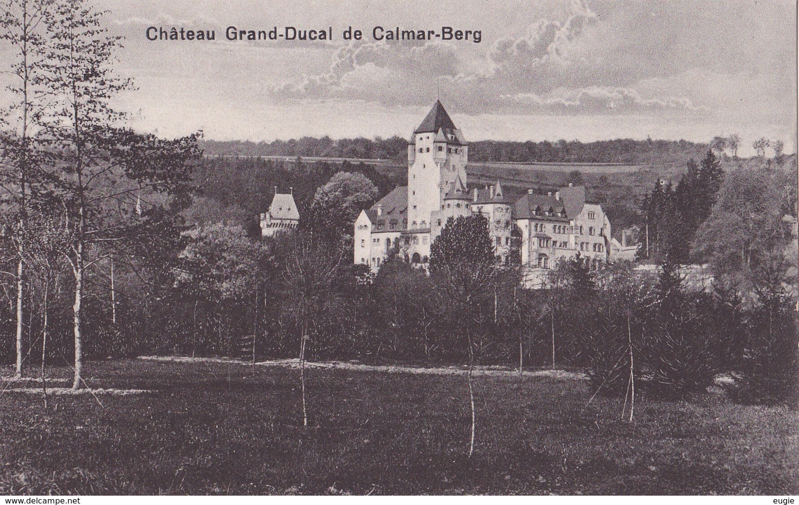 1317/ Chateau Grand-Ducal De Calmar-Berg - Colmar – Berg