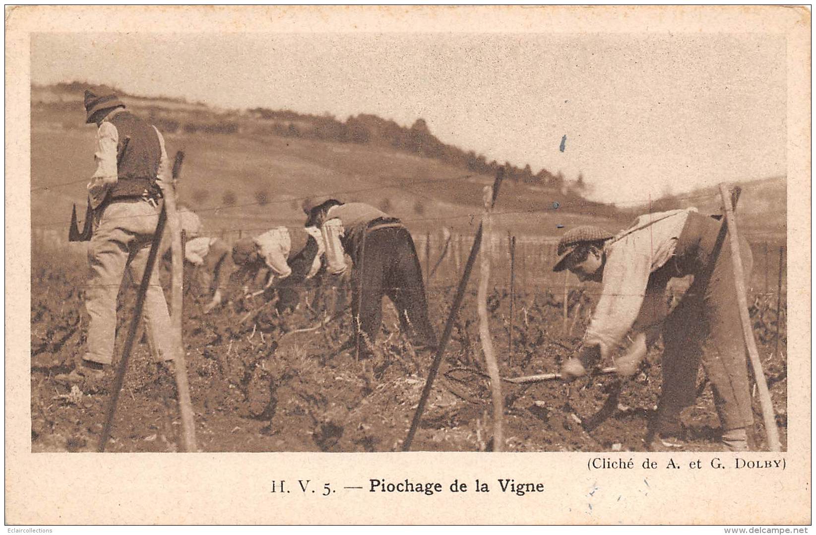 Beaune    21      Viticulture: Vendanges   Piochage De La Vigne   ( Voir Scan) - Beaune