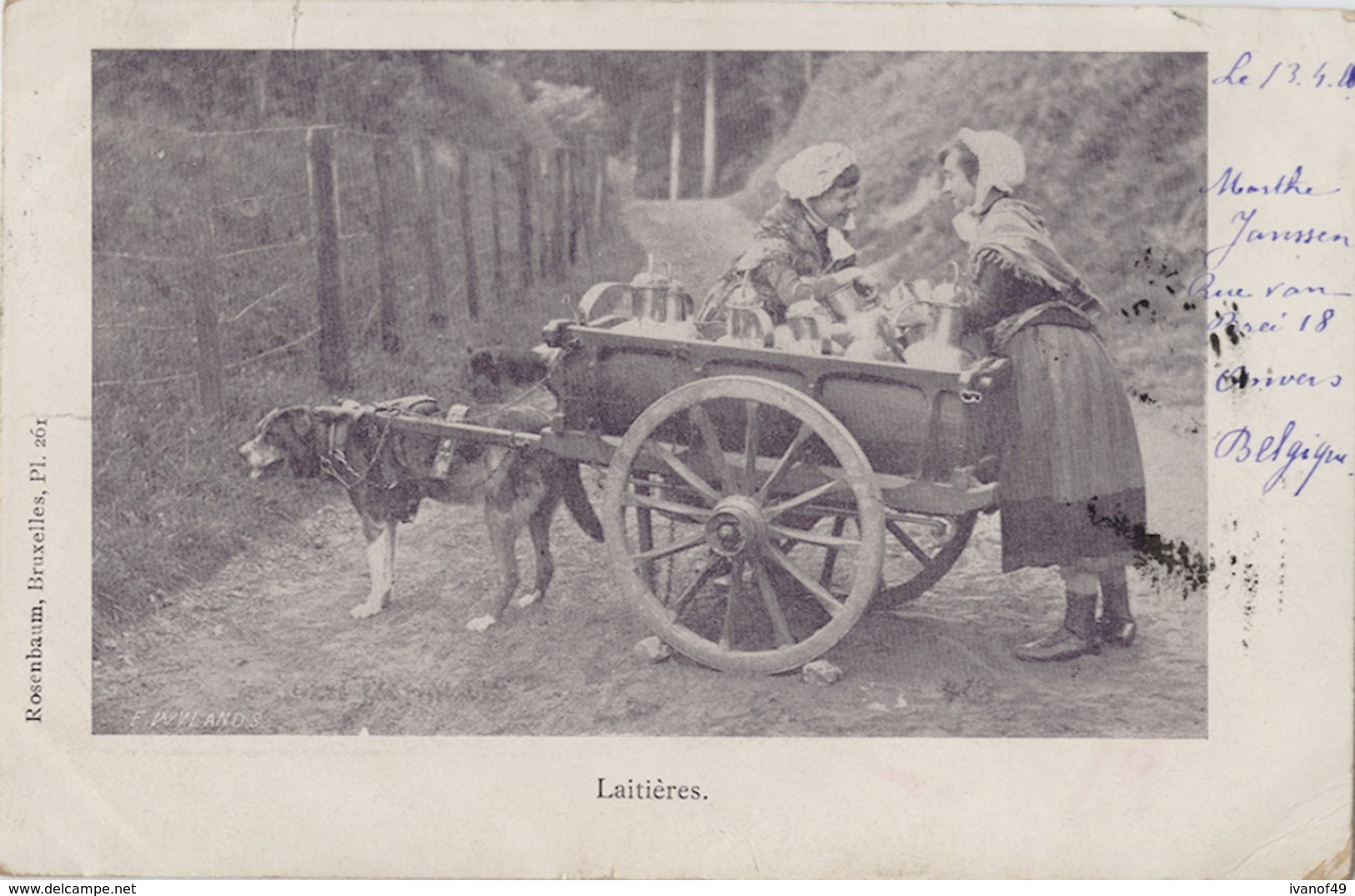 Voiture A Chiens - Laitières - Rosenbaum. Bruxelles Pl. 261 - Carte Précurseur 1900 - Petits Métiers