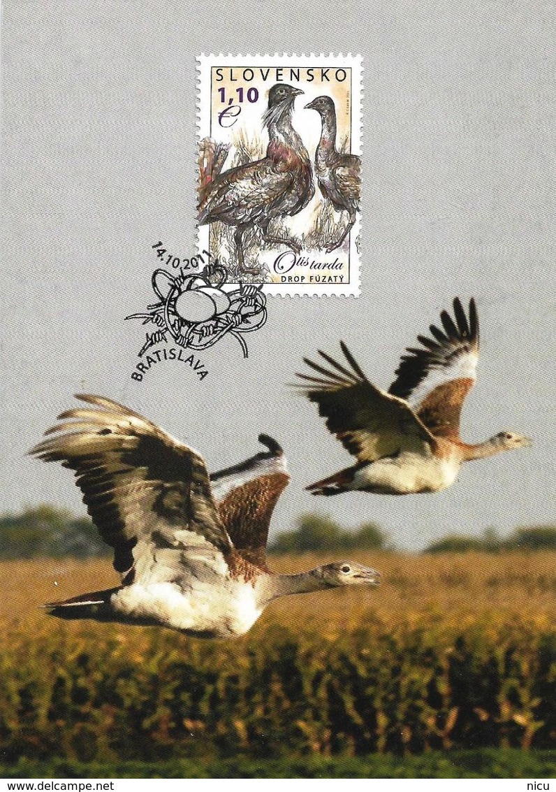 2011 - BIRD - GREAT BUSTARD (Otis Tarda) - Slovenia