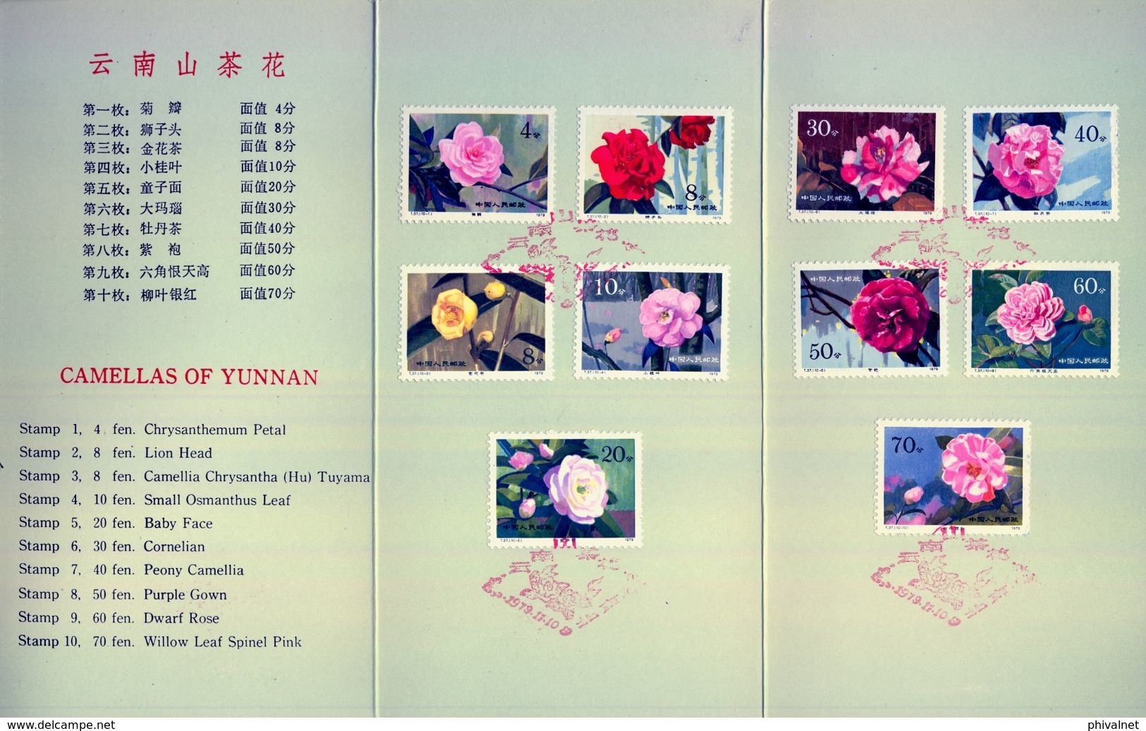 CHINA , 1979 , CAMELLAS OF YUNNAN , CAMELIAS , FLORES , PLANTAS, CARPETA OFICIAL - Oblitérés